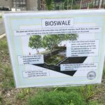 Bioswale Waterbury Sign 2