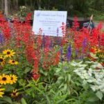Cheshire Pollinator Garden