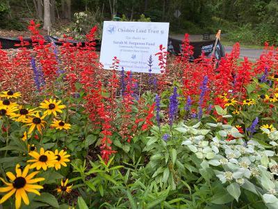Cheshire Pollinator Garden