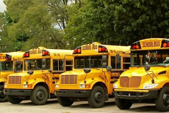 A group of parked school buses